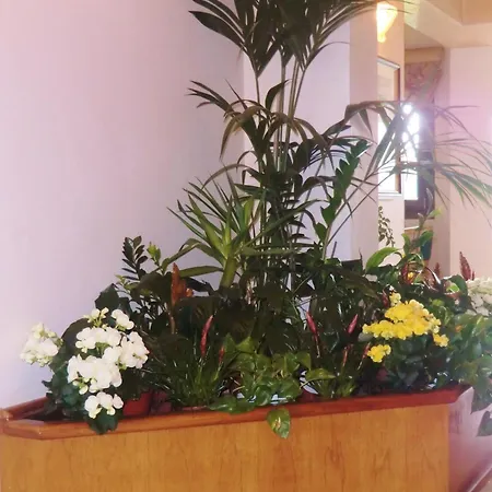 Luna Hotel
